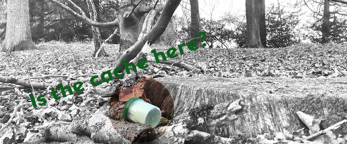 Scrollpic image 3